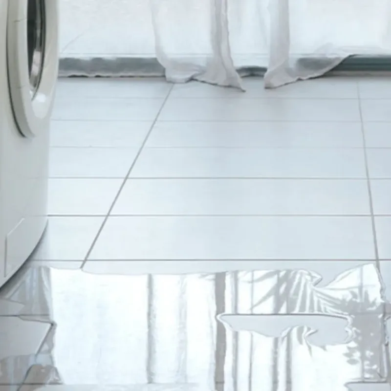 Appliance Leak Cleanup in West Baraboo, WI