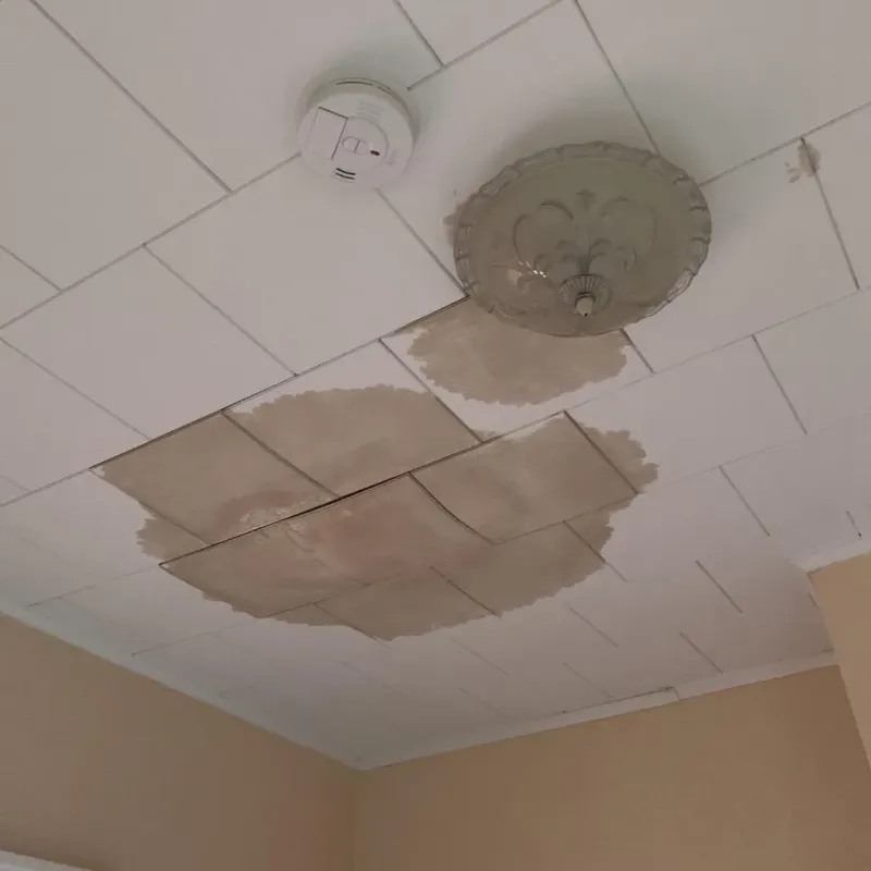 Ceiling Water Damage Repair in West Baraboo, WI