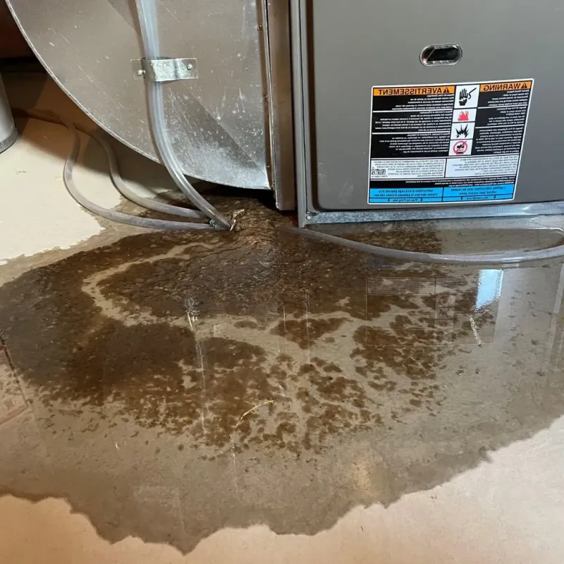 Pipe Burst and Leak Restoration in West Baraboo, WI